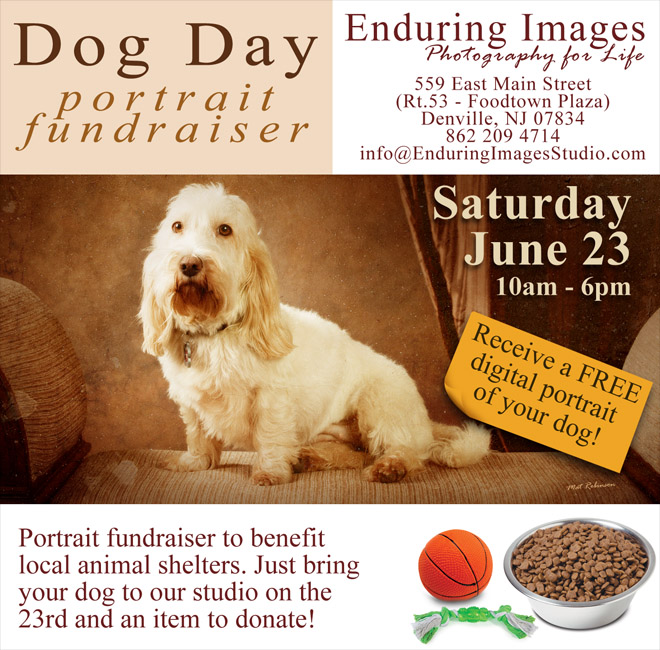 Pet portrait photographer - pet portraits - dog day