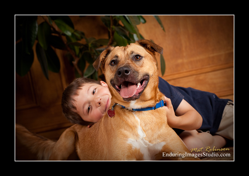 Dog portraits, photographer, Morris County, NJ