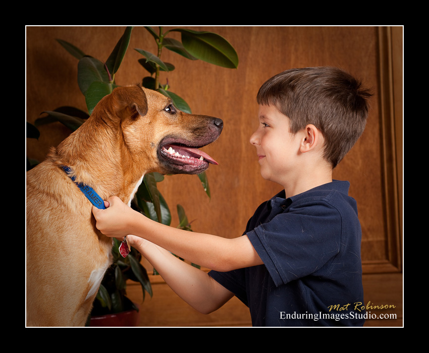 Dog portraits, photographer, Morris County, NJ