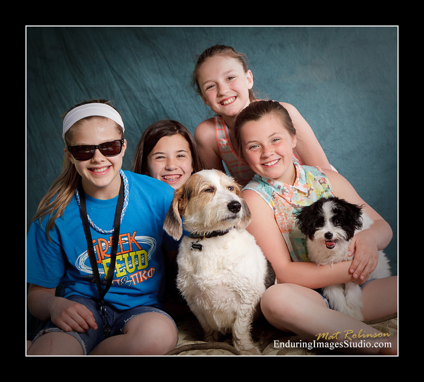 Dog portraits, Denville, NJ - by Enduring Images Photography Studio