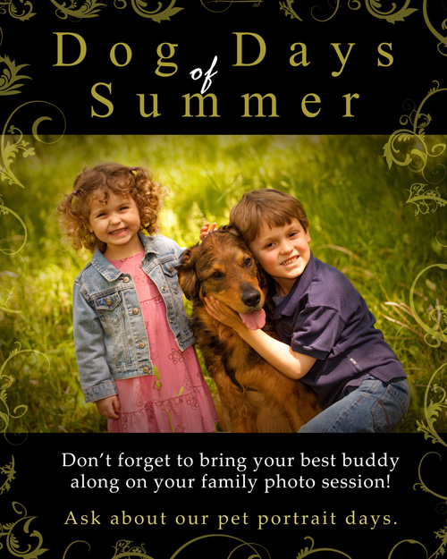 Pet portrait photographer in Denville, NJ